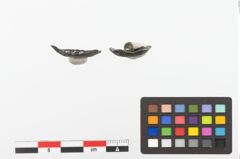 Foto von Bronzeknopf (NHMW-PRAE-023873)